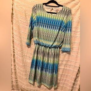 Allison Daley blue and green women’s size 10P dress